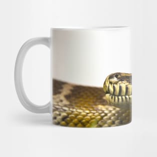 Snake VIII / Swiss Artwork Photography Mug